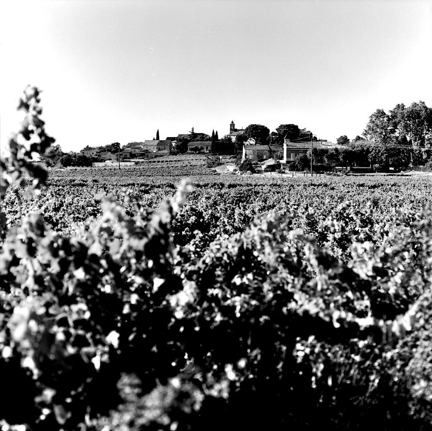 Vacqueyras Village