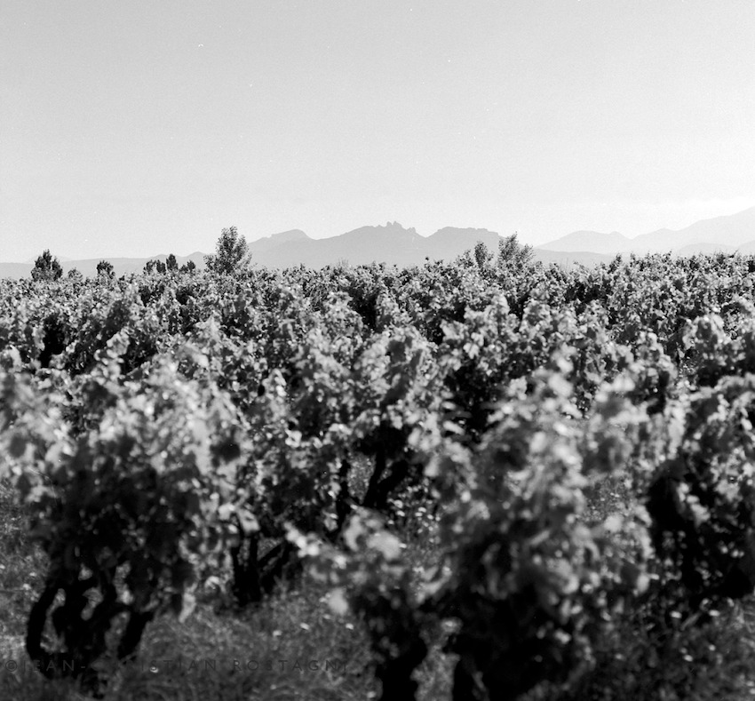 vignes dentelles de montmirail